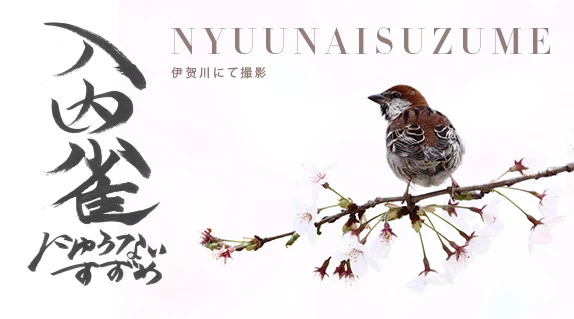 文耀笔记-封面图